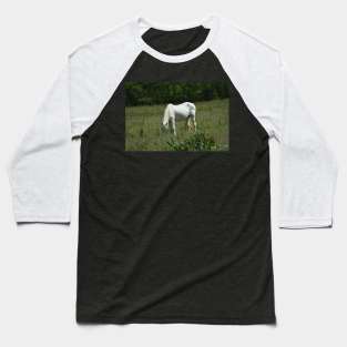 Wild Horse Baseball T-Shirt